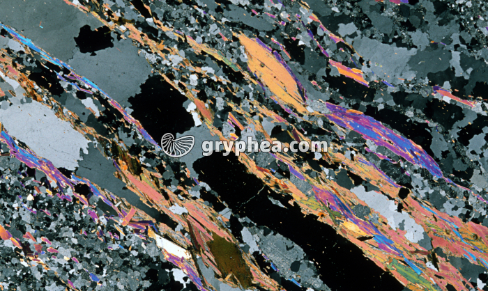Gneiss LPA x3 - gryphea.com